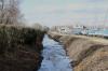 WOSC 2023_02_26 0036